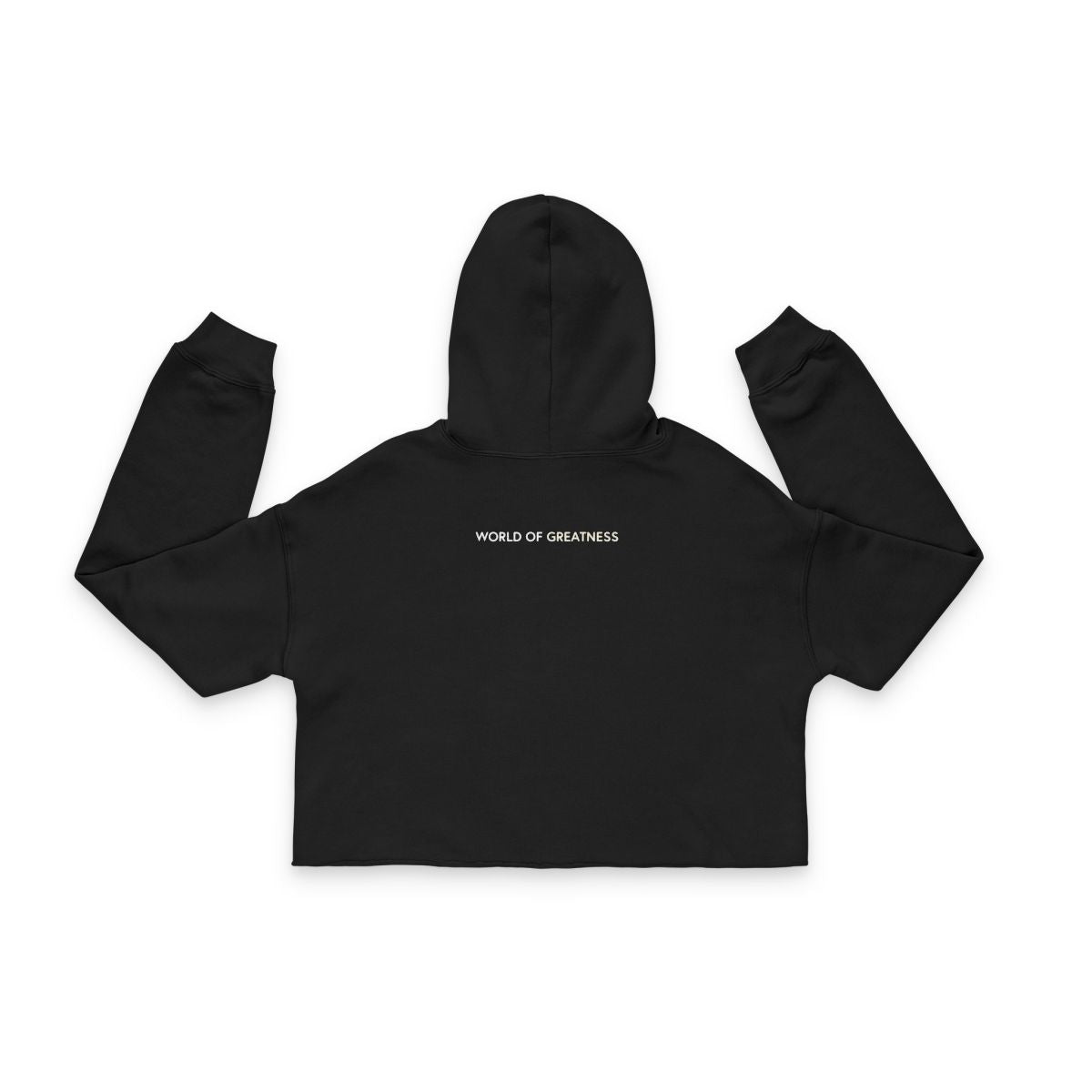 Cropped Hoodie - Clovr World