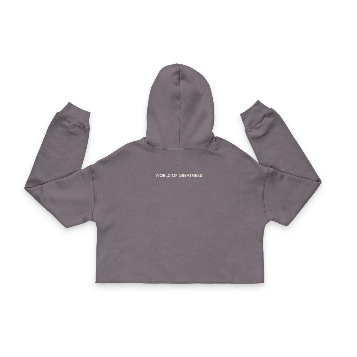 Cropped Hoodie - Clovr World